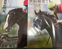 ヒーロー列伝 クリアファイル ドウデュース エフフォーリア クロノジェネシス クロノジェネシス クリアファイル 競馬 ヒーロー列伝 - メルカリ